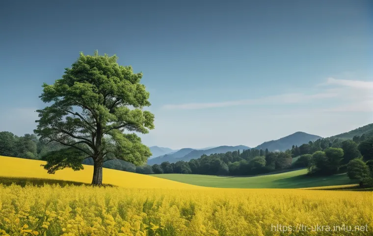 볼로디미르 젤렌스키 정책 관련 이미지 1